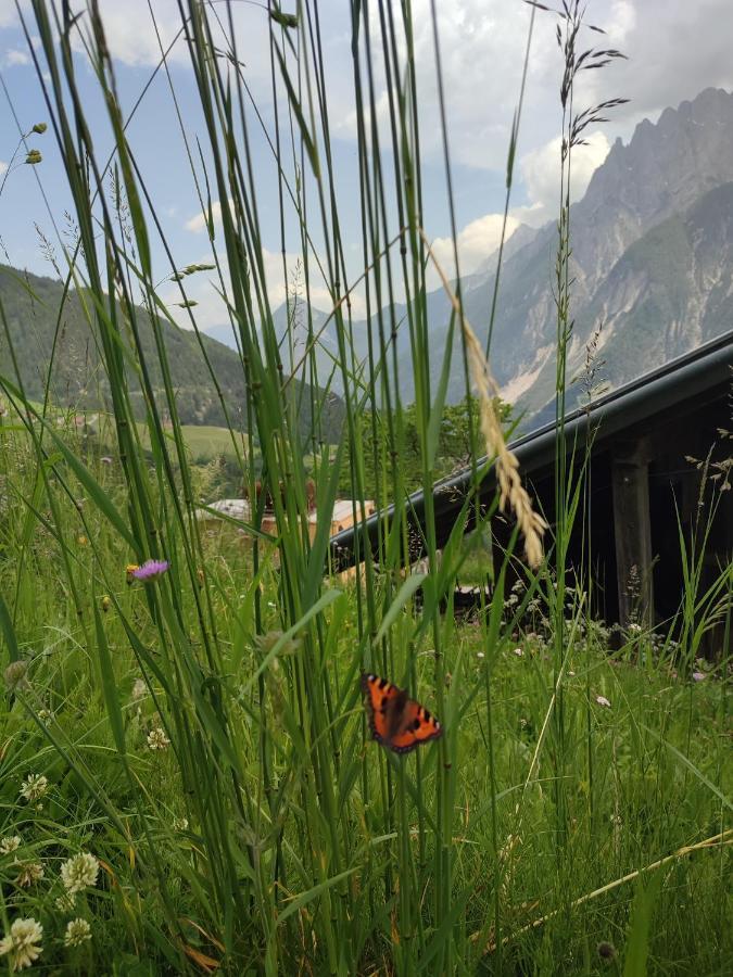 Appartements Obergollerhof Assling Екстериор снимка