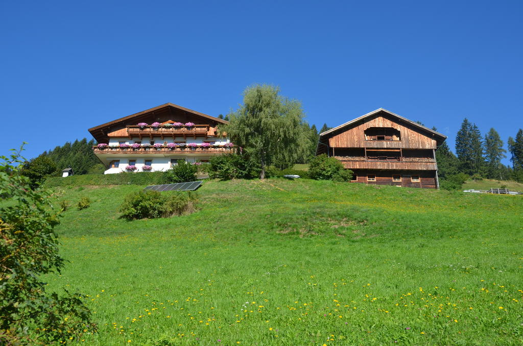 Appartements Obergollerhof Assling Екстериор снимка